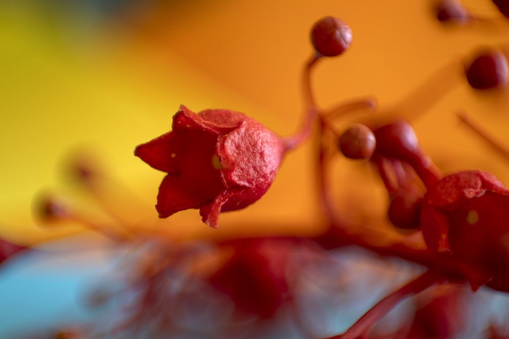 Поэзия – Часть 31