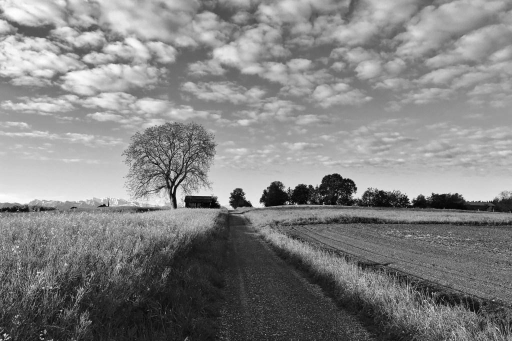 Черные вехи