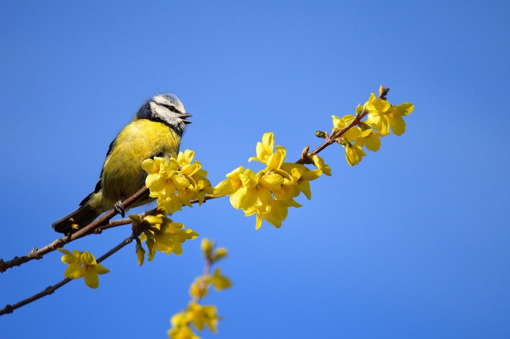 Поэзия – Часть 45