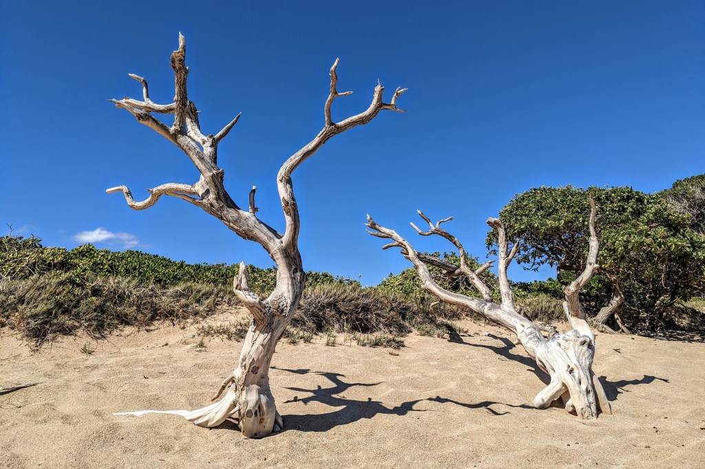 Природа под угрозой