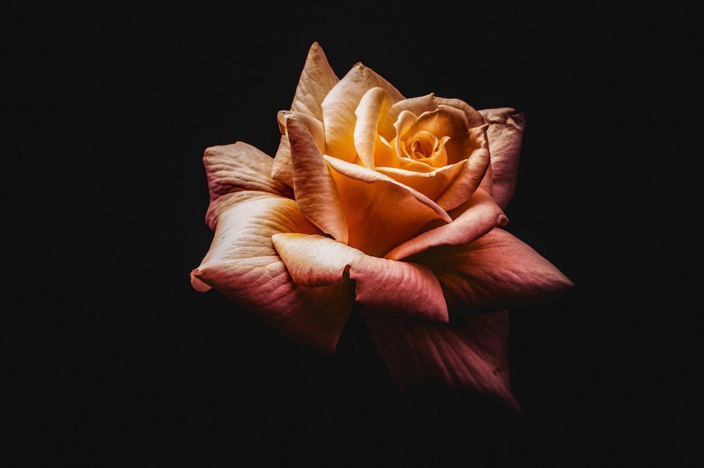 Поэзия – Часть 49