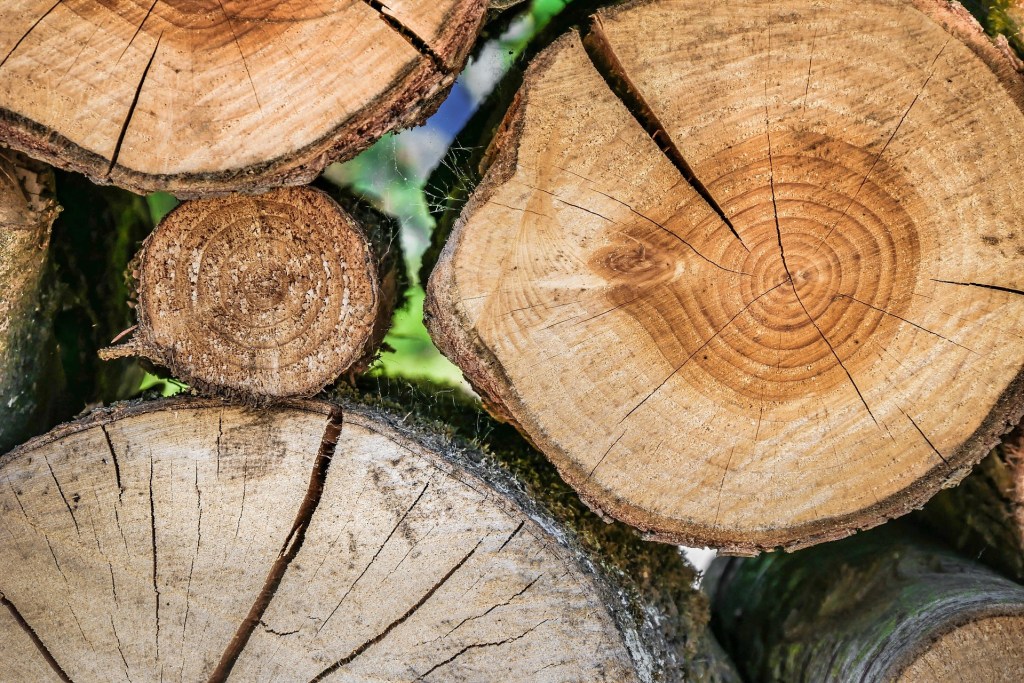 Путь длиною в 30&nbsp;лет…