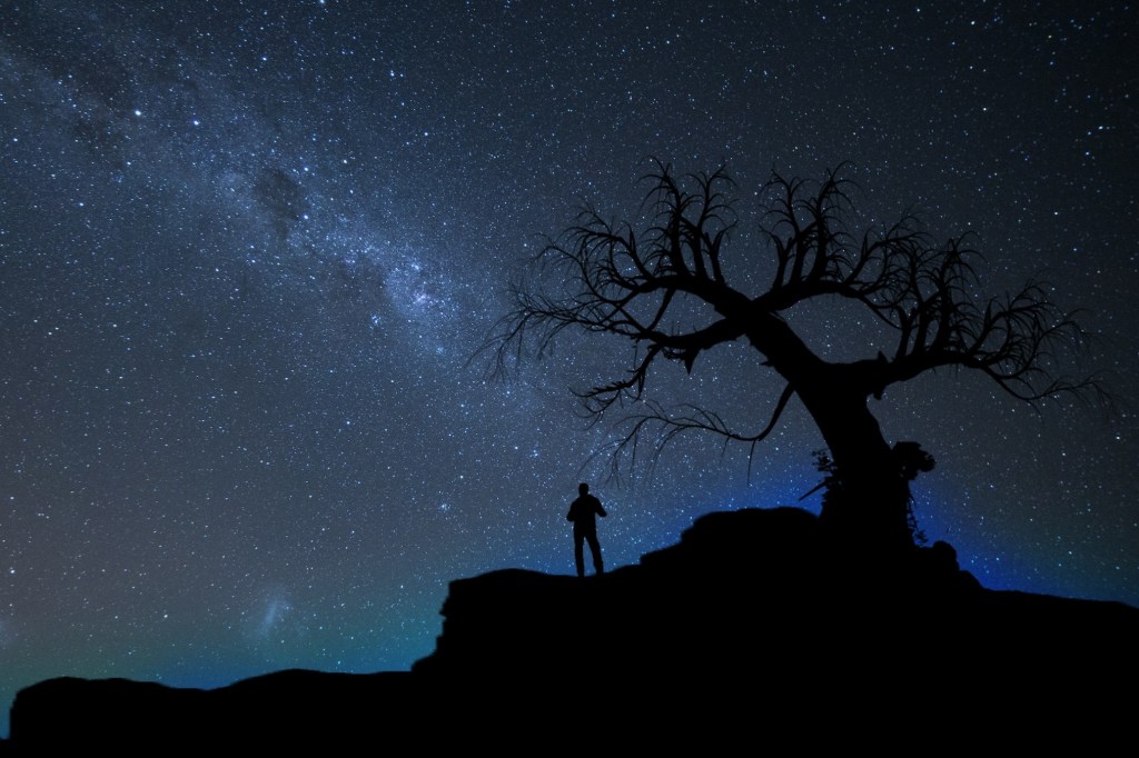 Жизнь, как она есть…