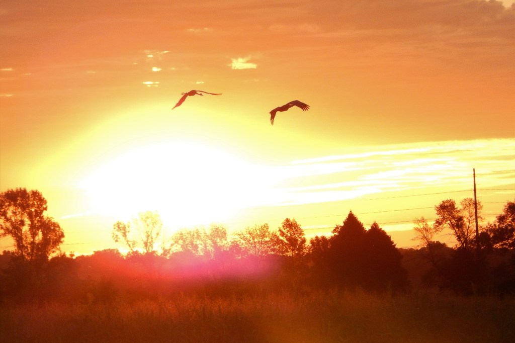 В последний путь