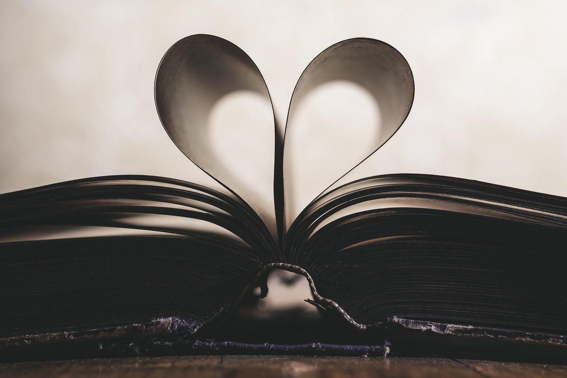 История одной книги