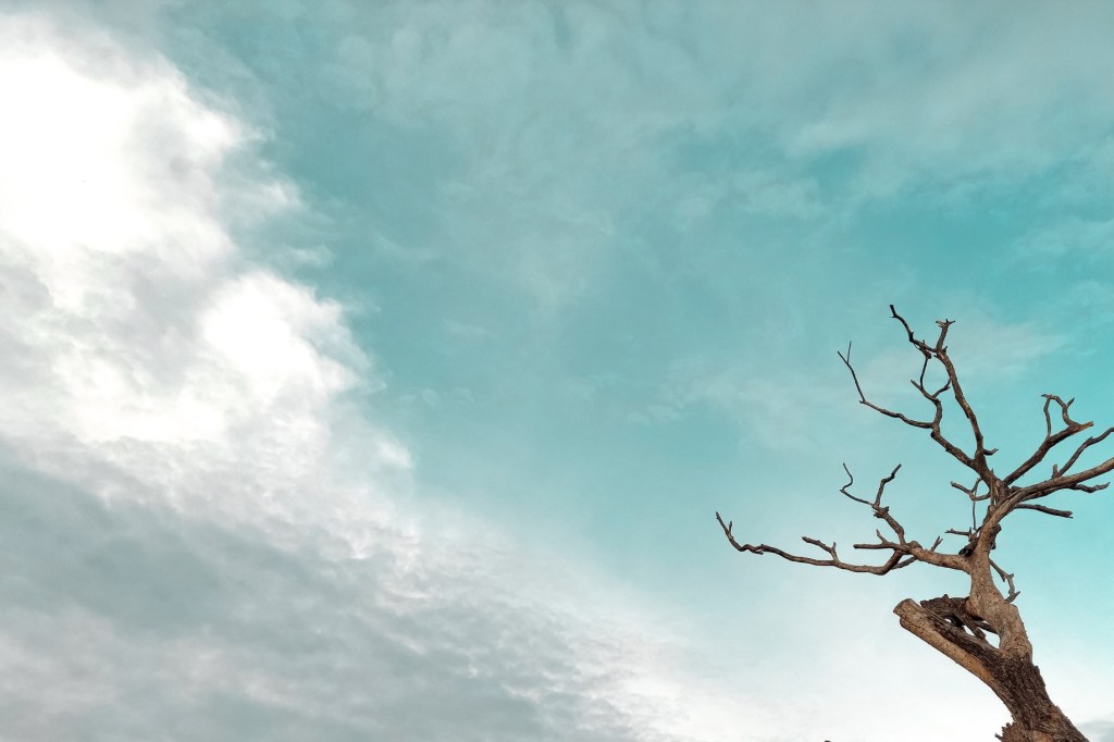 Быть или не&nbsp;быть?