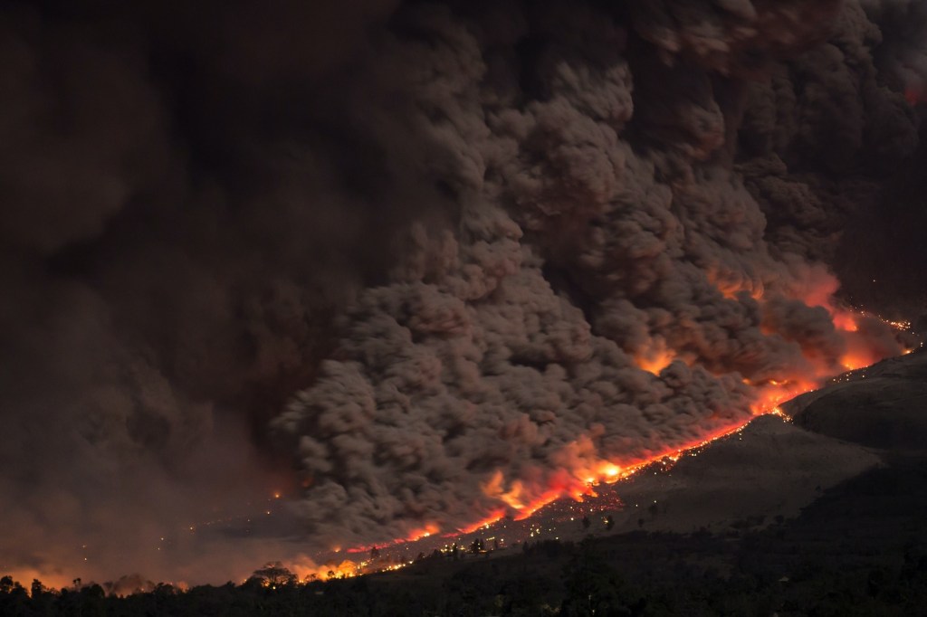 Куда идёт человечество?