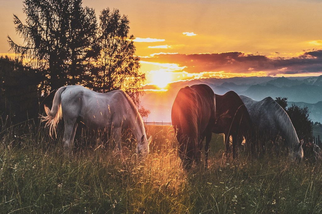 Жизнь, как она&nbsp;есть…