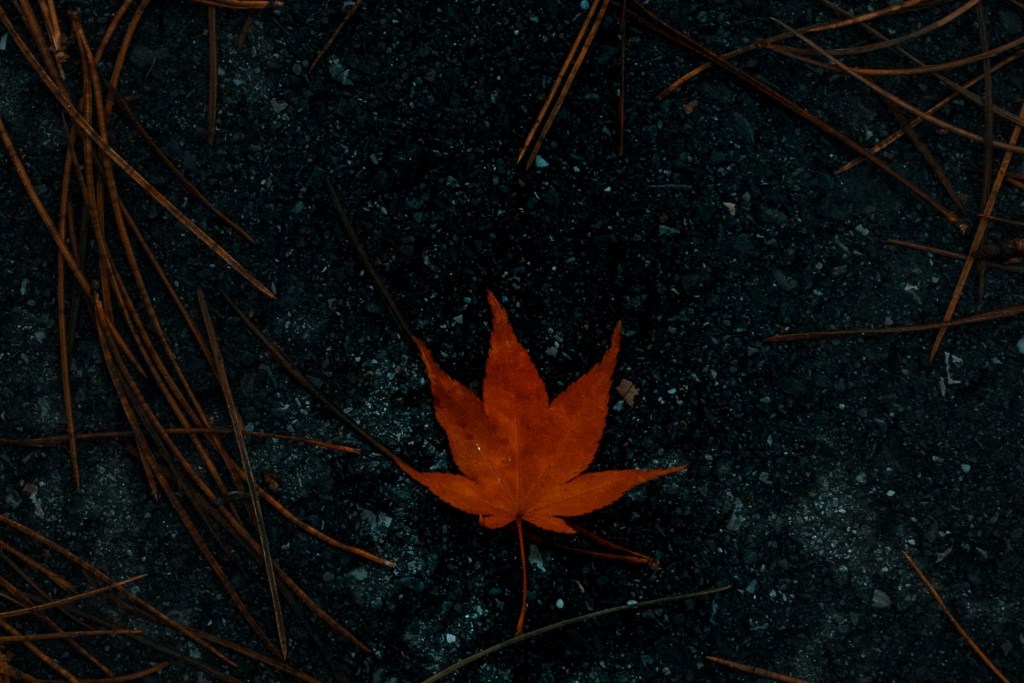 Погубить Его…