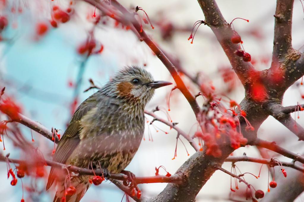 Поэзия – Часть 6