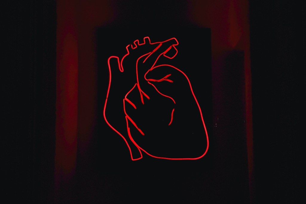 Сердце человека