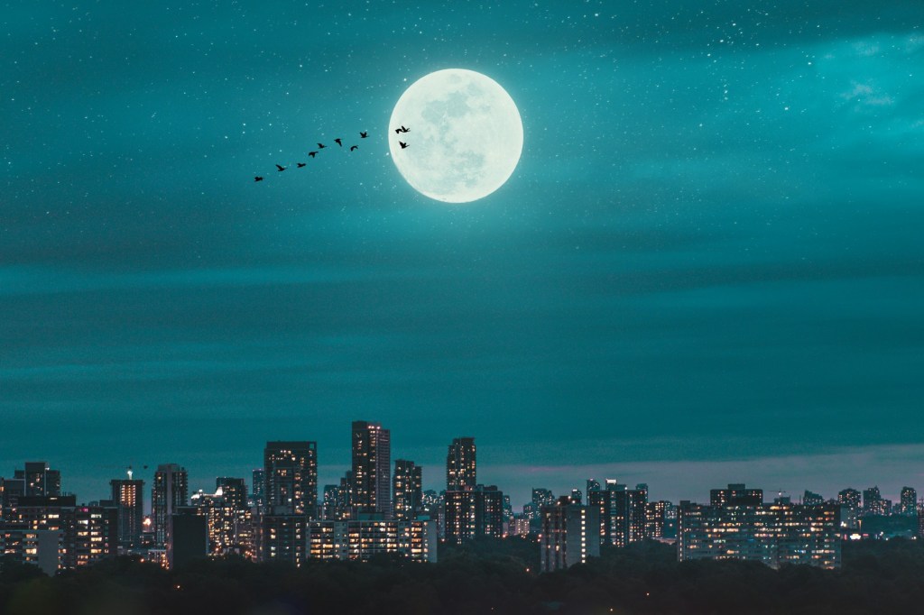 Говорят небесные светила:&nbsp;Луна