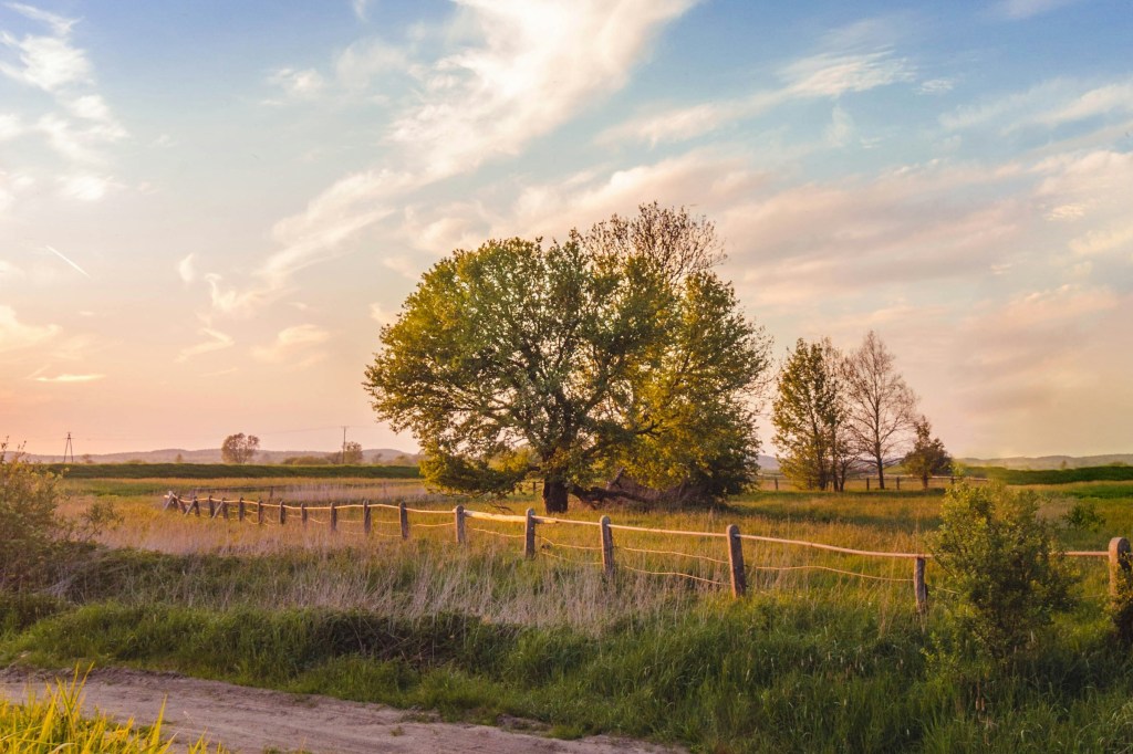 Два невыдуманных рассказа