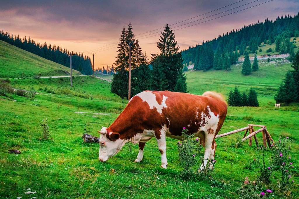 Жизнь, как она&nbsp;есть…