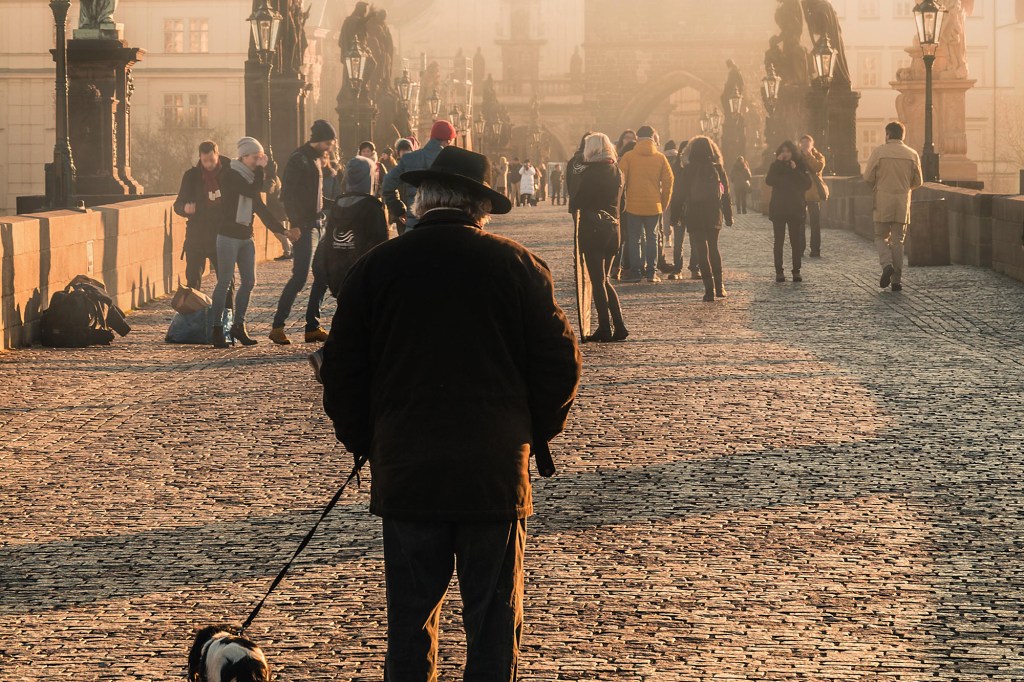 Он любил правду