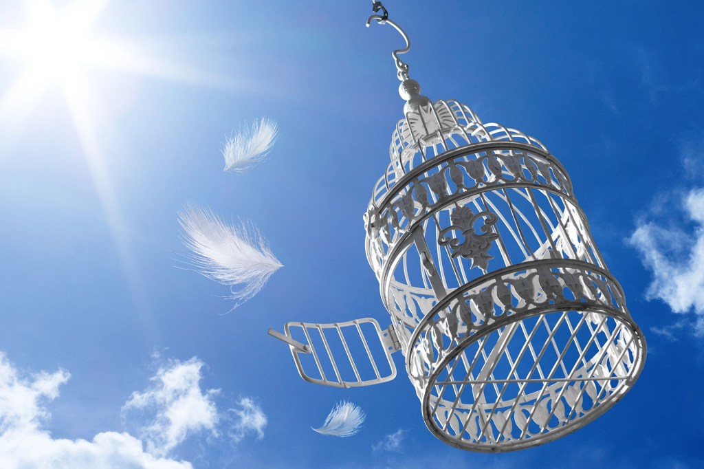 Свободен ли ты?