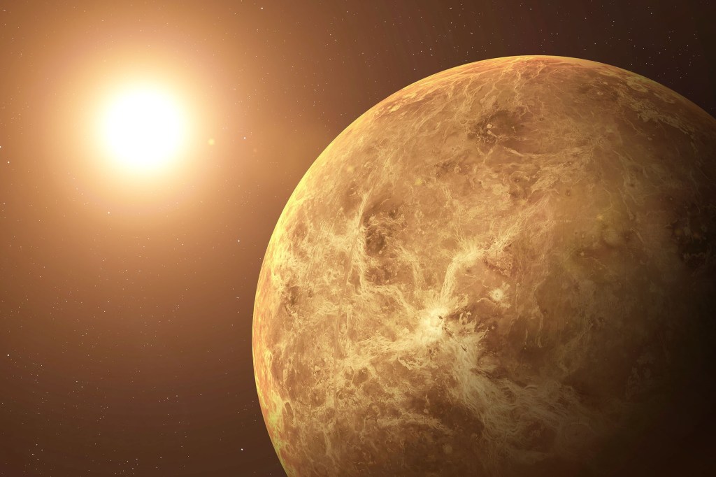 Говорят небесные светила:&nbsp;Венера