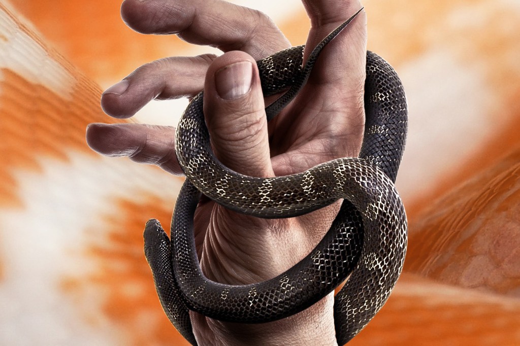 Она не имела&nbsp;жала