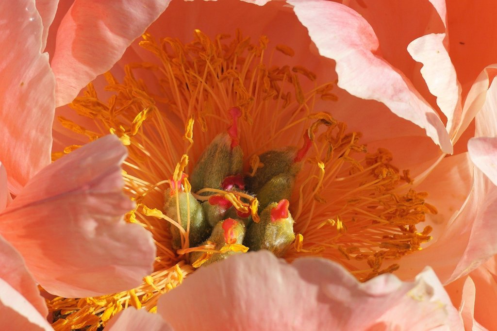 Поэзия – Часть 65