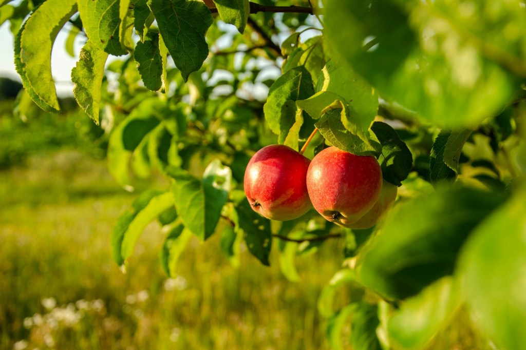 Вчера и сегодня&nbsp;(1)