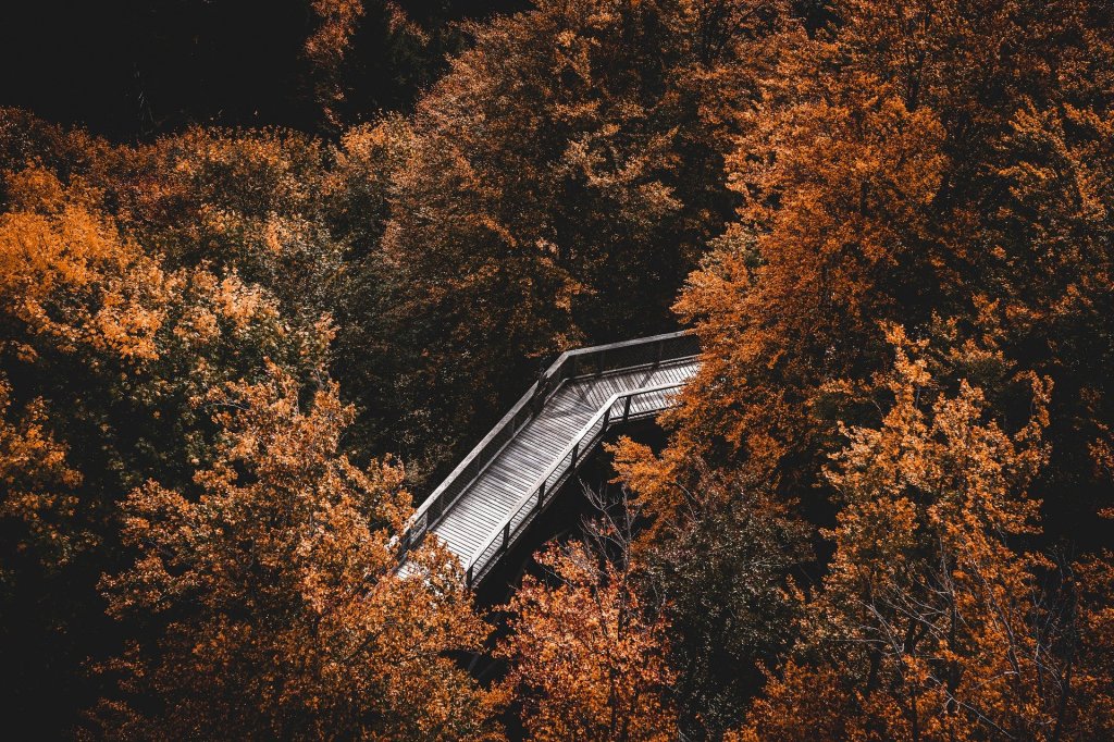 Поэзия – Часть 68