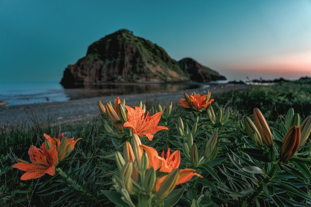 Поэзия – Часть 69