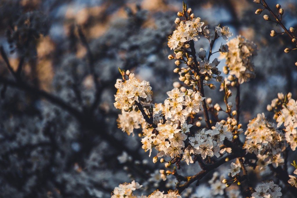 Поэзия – Часть 77