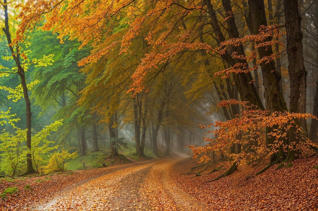 Поэзия – Часть 80