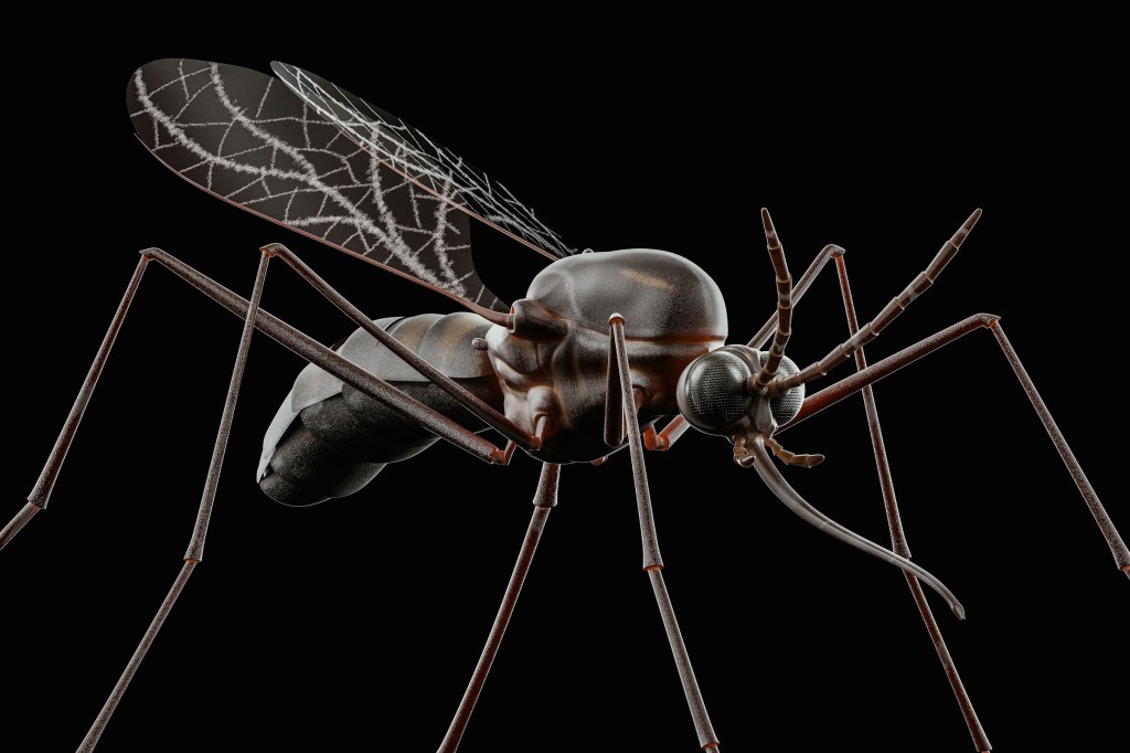 Забытый аспект неодарвинизма