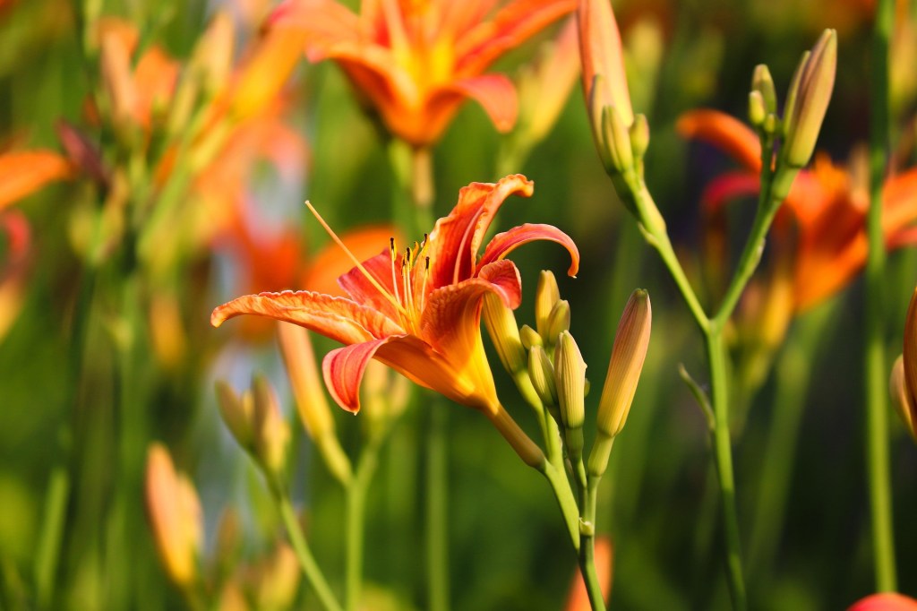 Поэзия – Часть 84