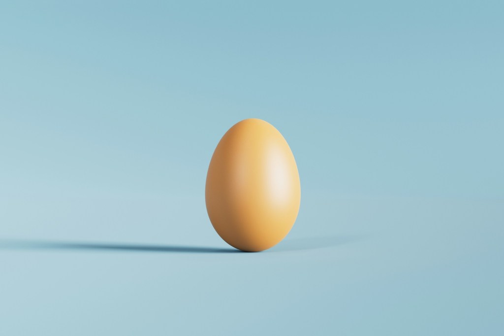 Кто создал яйцо?