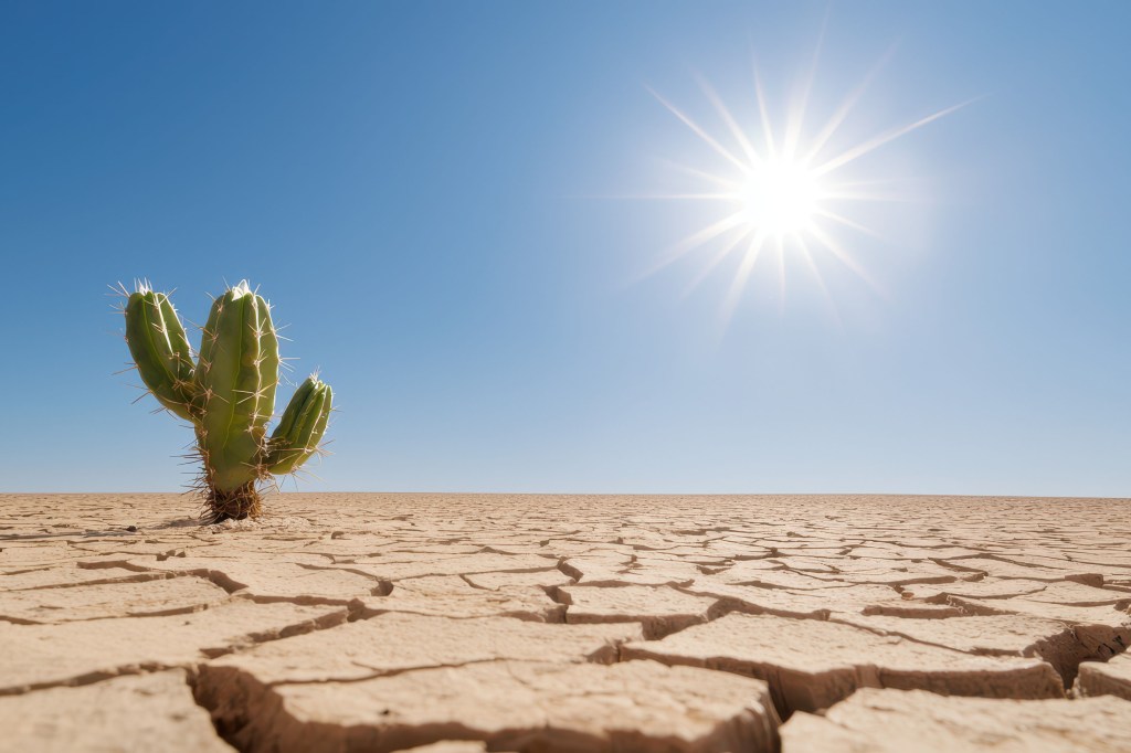 Победа растений пустыни